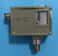 D511/7D防爆压力控制器
